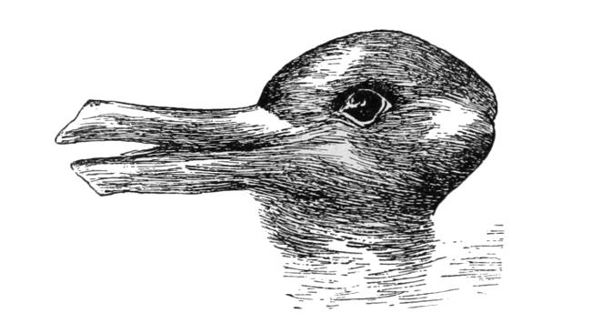 Optical illusion of a duck or a rabbit head