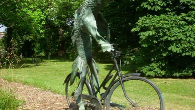 Fish on a Bicycle by Steven Gregory